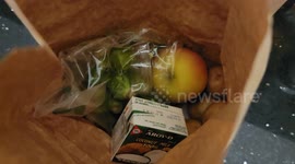 HelloFresh accused by PETA of using coconut milk obtained from monkey labor