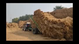 In Kaithal district, due to the sale of paddy straw at good prices, farmers are happy and the general public gets relief from pollution ,Many mandis engaged in , Animal feed is made by traders by buying straw from farmers, animal feed is going to other st