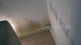 UK woman's flat is so damp her clothes and handbags are covered in MOULD
