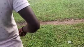 A 10 feet long Python scared the villagers who tried to capture it in India