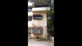 Cate have super mind to open the window.