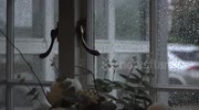 temp