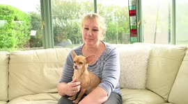 Devoted dog owner sells car to help pay £17.5k for life-saving surgery - for her chihuahua
