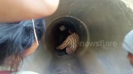 Terrified young housewife hides inside water pipe for FOUR days without food to escape violent husband