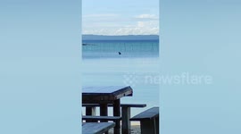 Couple caught romping in broad daylight along beach in the Philippines
