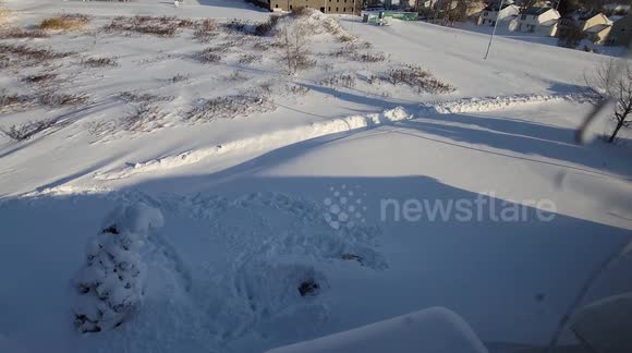 'Where is my car?' - Vehicles completed buried by snow in Buffalo, New York