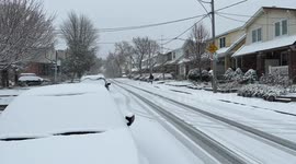 View of Toronto streets during first snowfall of the season in the Greektown neighbourhood