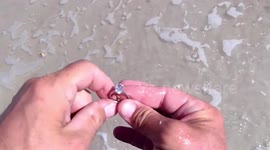 Metal detectorist finds $40,000 diamond ring buried on Florida beach and returns it to its owner