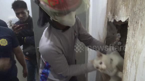 Heroes smash through walls of a home to save stuck cat in Padang, Indonesia