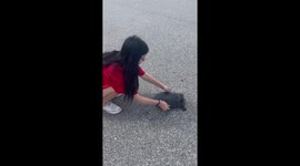 Girl with a heart of gold picks up huge turtle with her bare hands to save his life