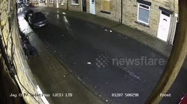 The harrowing moment dog cries out for help as she is stolen