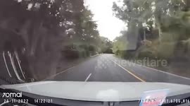 One killed and 46 injured when bus flips over in Thailand