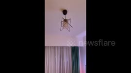 Turkey: M6.1 Earthquake Hits Near Düzce 2