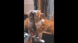 Look in to the mirror and play