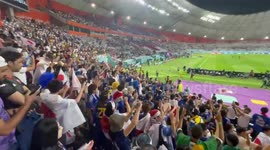 Japanese fans going crazy after their team defeats Germany