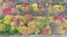 The Colorful Autumn Scenery of The Huludao Scenic Area in Zaozhuang, China