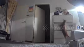 Naughty cat knocks down cabinet while searching for treats