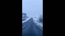 A flock of huge deer crosses the road on the highway in Belarus!
