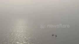 Ducks floating on calm foggy water from Lake Ontario in Toronto.