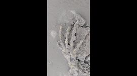 Couple finds eerie ‘ALIEN HAND’ on beach Part 02