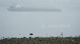 Yangtze River Waterway Transportation In Yichang, China