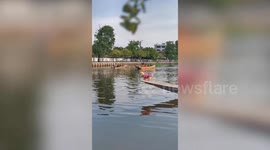 Pet dog rides on the front of boat on canal in Thailand