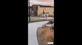 Amazing Dad’s Magic Carpet Ride With His Little Girl