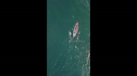 Top down drone footage of lifeguards training.