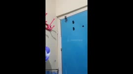 The mouse tail is stuck on the door, and it is dangling!