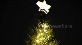A gift of friendship from Norway to the UK 75 years on: The majestic Trafalgar Square Christmas tree lights are switched on