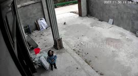 Heartbreaking scene shows toddler saying 'I miss you papa' to surveillance camera