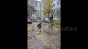 temp