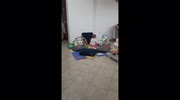 temp