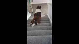 Everywhere I go I'll be watching you, you can't hide