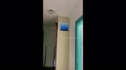 temp