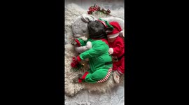 French Bulldog and newborn are sleeping in christmas outfit while newborn is smiling!