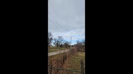 Eagle flying around the neighborhood!!