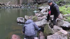 First-ever presence: freshwater sponge found in a reserve in China’s Guizhou province