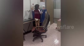 Brave girl, 3, calmly catches lizard while her parents cower in fear