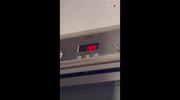 temp