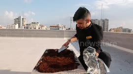 Palestinians use coffee grounds for agricultural fertilizer at a coffee shop in Gaza City