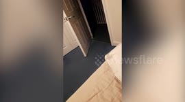 Mum of three petrified of rodents is trying to put an end to a seven-year mouse and rat infestation