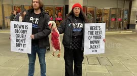 PETA protest against down outside Marks & Spencer