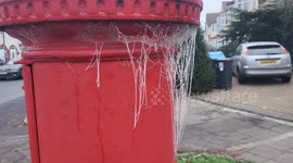 Frozen cobwebs in London as winter sets in during Christmas period