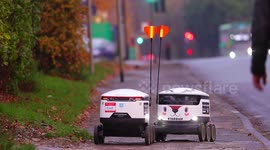 Christmas reindeer robots deliver food in Yorkshire, England