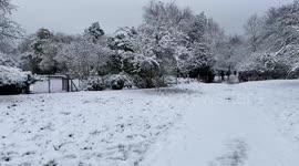 Regent’s Park looks magical as London wakes up to snow