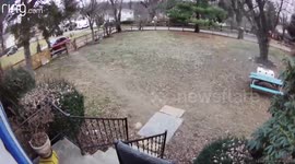 I got an alert from my Ring Camera that someone was at my front door. There was no one there so I viewed the video footage and saw that a bird had flown right into the camera lens.