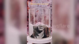 Man who quit mechanical engineering job is now earning thousands by making sand art portraits