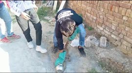 Poor cat gets its head stuck into pot while drinking milk