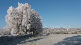 Stunning Severe Tree Frost Scenes From N. Ireland - -8c Temps - Dec 13th 2022